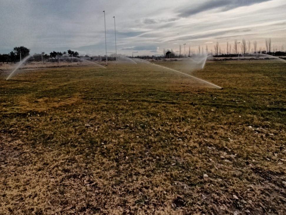 Aspersores regando una cancha de césped