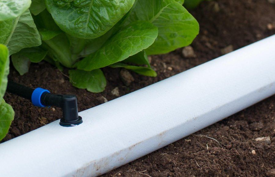 Manguera FlexNet Netafim en una huerta